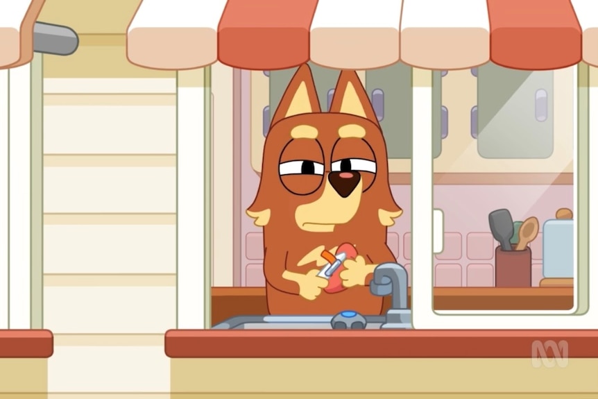 Bluey's cricket episode perfectly encapsulates the meaning of the game -  ABC News